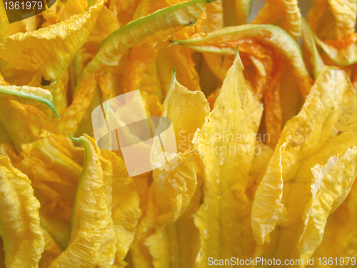 Image of Courgette flowers
