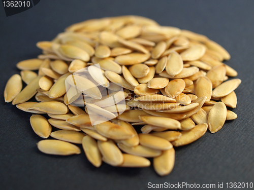 Image of Melon seeds