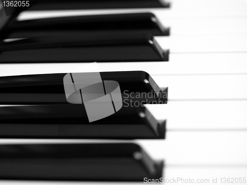 Image of Music keyboard