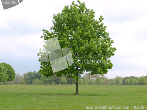 Image of Urban Park