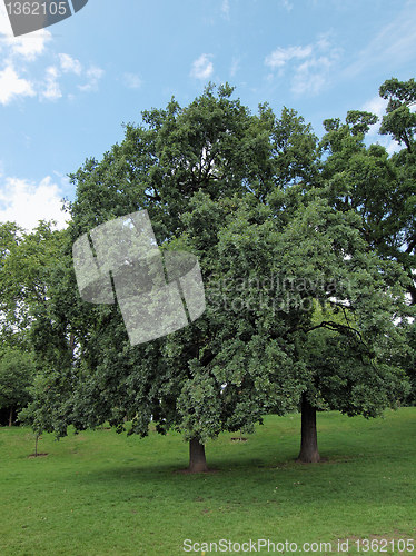 Image of Kensington gardens London
