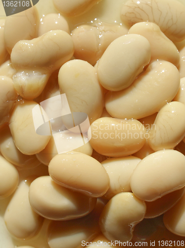 Image of Beans salad