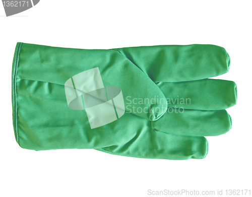 Image of Gloves picture