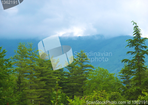 Image of Hill picture