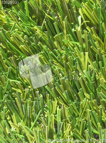 Image of Artificial grass