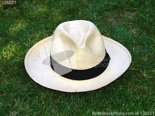 Image of panama hat