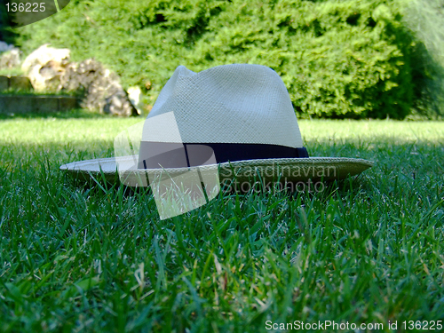 Image of panama hat 3