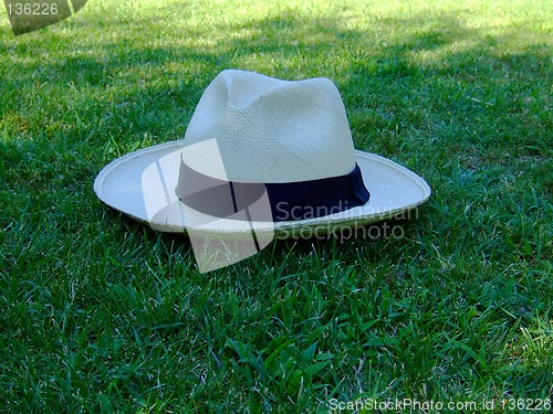 Image of panama hat 2