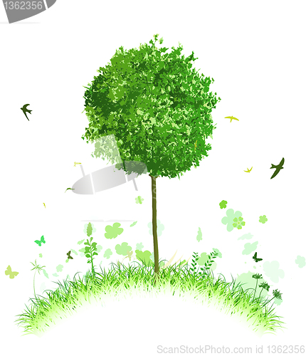 Image of green landscape