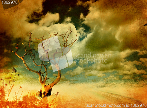 Image of Lonely tree on grungy background 