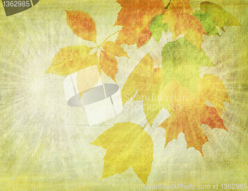 Image of grunge  background