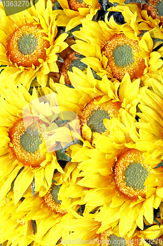 Image of Sunflowers detail