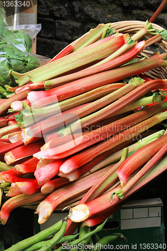 Image of Ruhubarb bunch