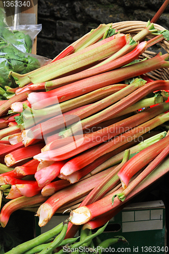 Image of Ruhubarb bunch