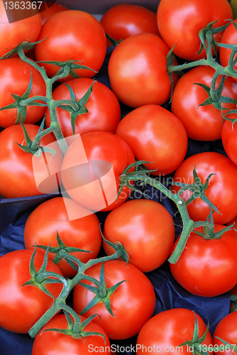 Image of Tomato