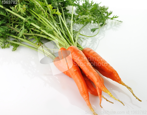 Image of carrots