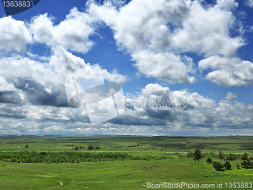 Image of summer landscape