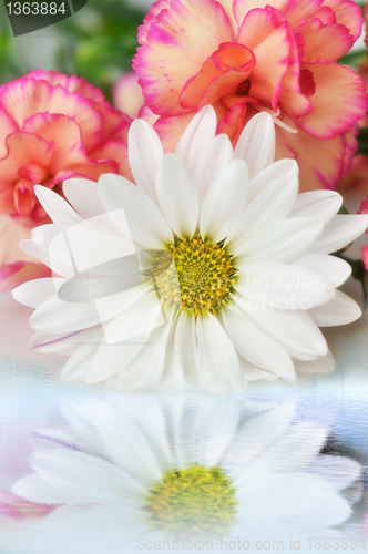 Image of flowers