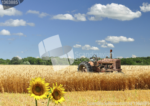 Image of field