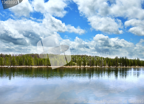 Image of lake with forest