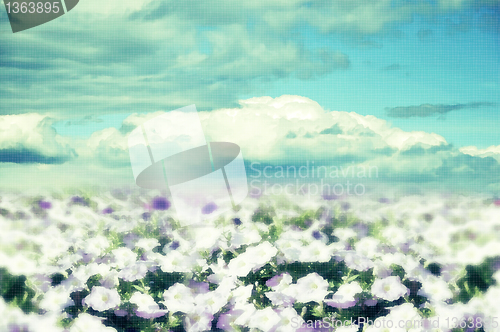 Image of summer background