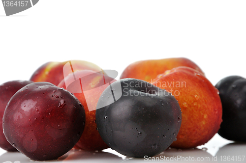Image of plums ,peaches and nectarines