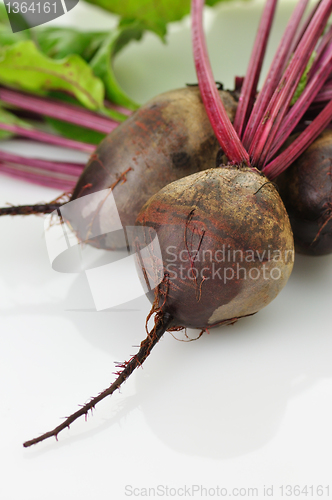 Image of fresh beets