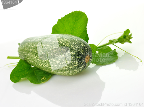 Image of zucchini