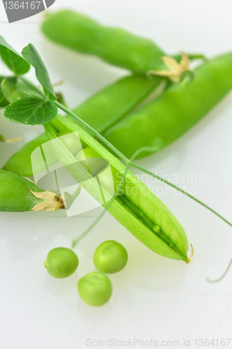 Image of green pea pods