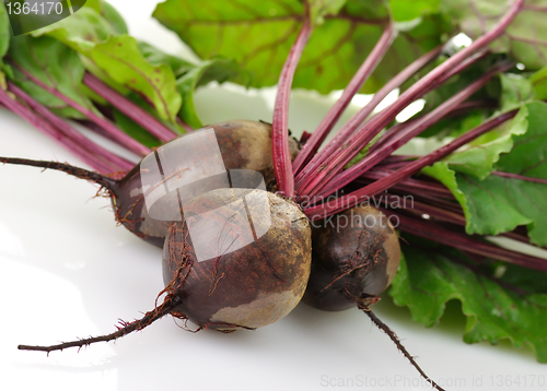 Image of fresh beets