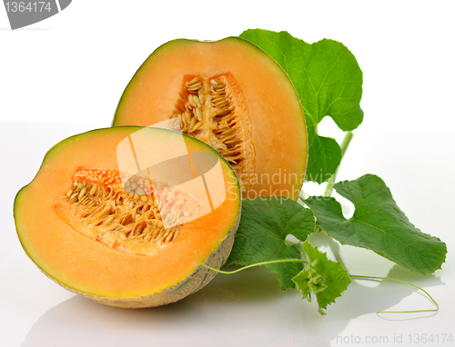 Image of melonm