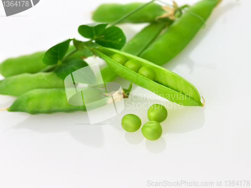 Image of green pea pods