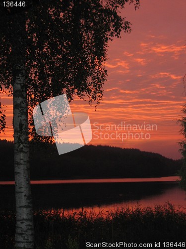 Image of tree in the sunset