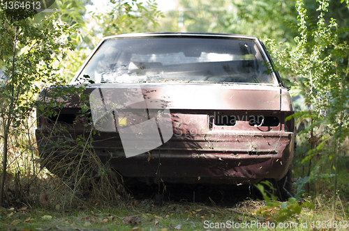 Image of Old, broken car between green bushes 
