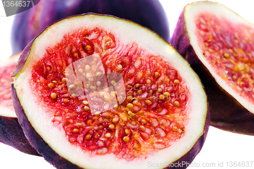 Image of Red fig