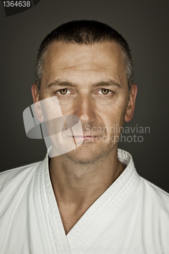 Image of martial arts master