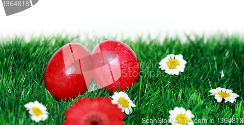 Image of Red eggs on a flower meadow 