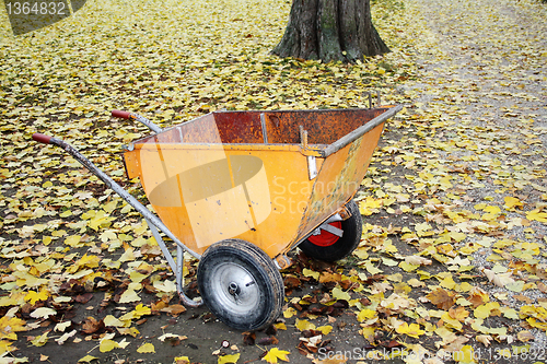 Image of Wheelbarrow in the Park