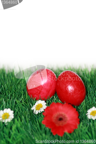 Image of Red Easter eggs in grass 