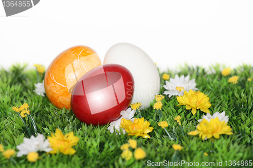 Image of Beautiful Easter Eggs 