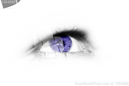 Image of Isolated eye 
