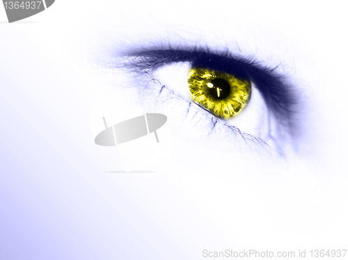 Image of Eye Portrait 