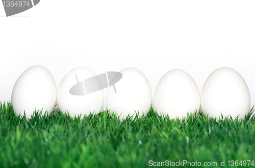 Image of White eggs 