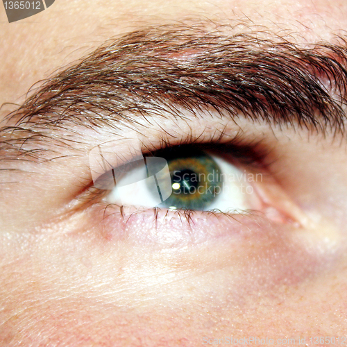 Image of Eye in Focus 