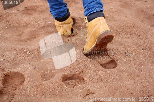 Image of Walk on the beach