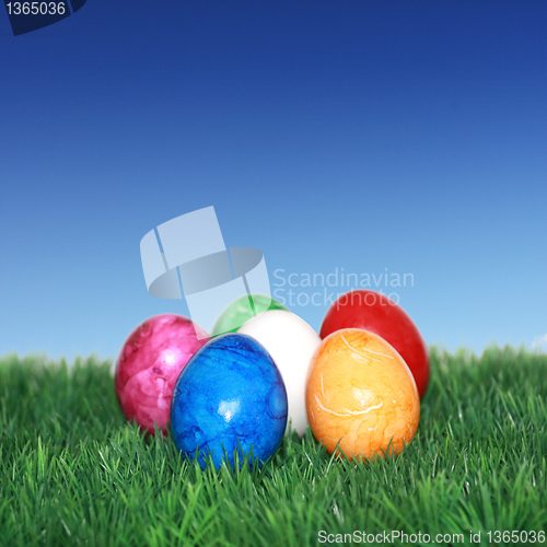 Image of Colorful eggs on green grass 