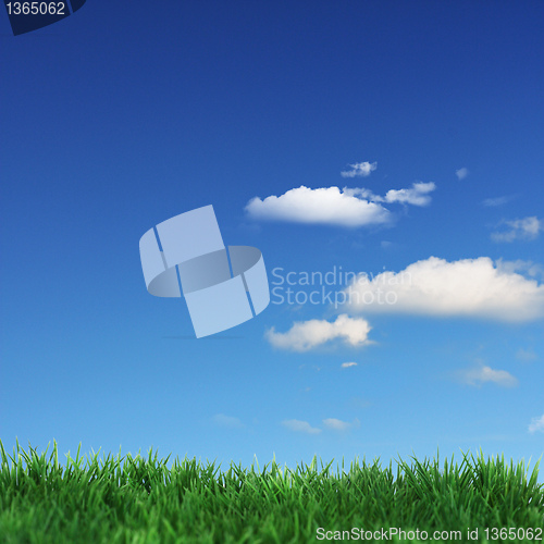 Image of Beautiful weather 