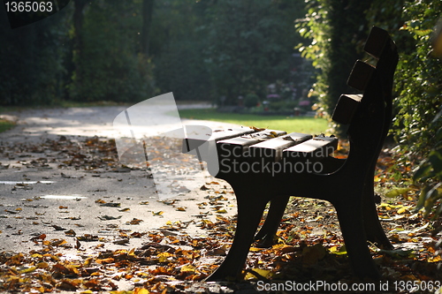 Image of Park bench