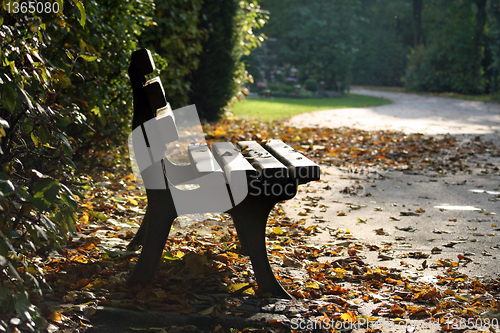 Image of Seat