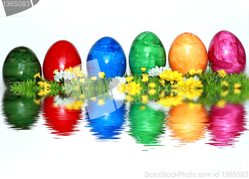 Image of Colorful mix of eggs 